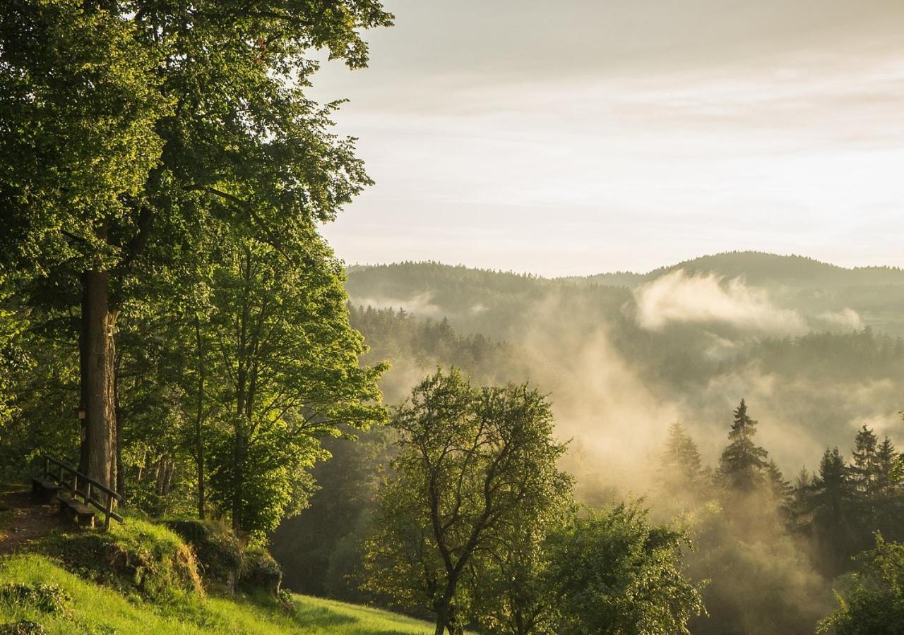 Fewo Gabi Haus Pacher Sankt Peter am Kammersberg Buitenkant foto